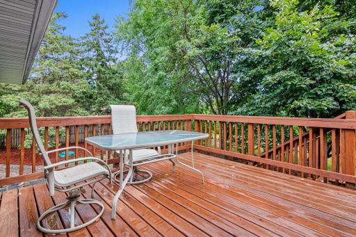 998 99th Ln NE, Blaine, MN-35.jpg