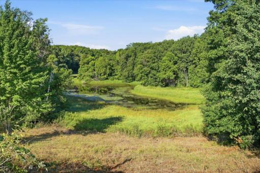 Back Pond
