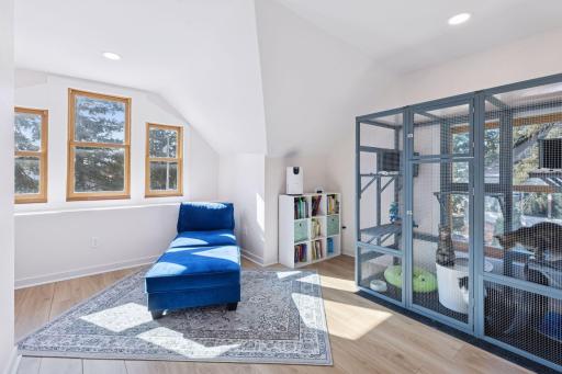Upper level sitting room tons of natural light. Cat kennel is not staying.