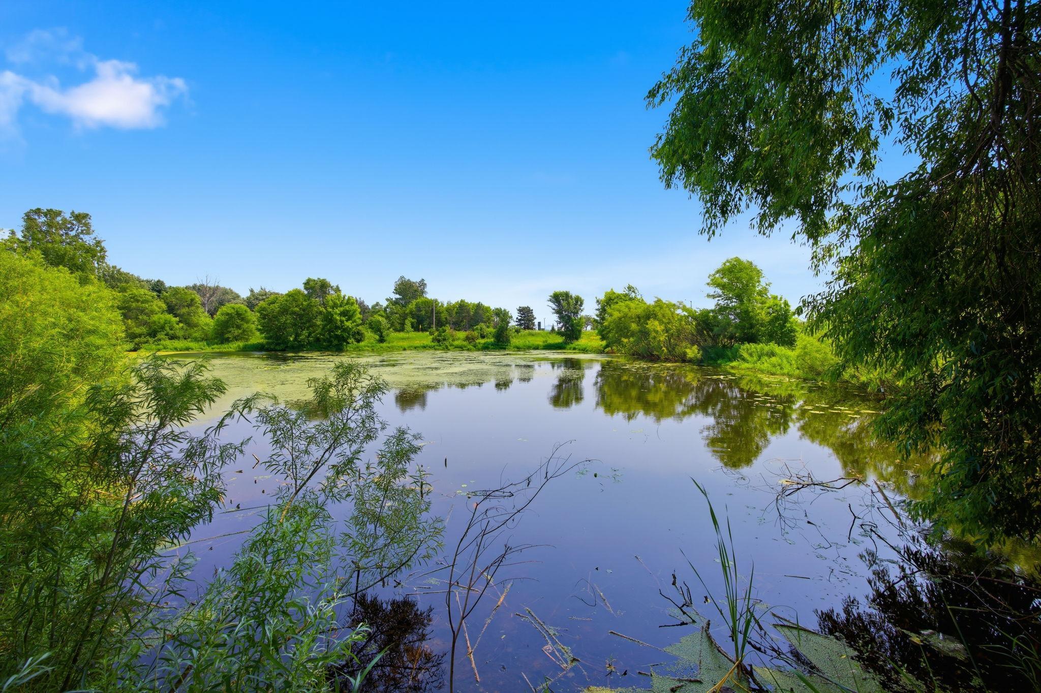Beautiful pond views