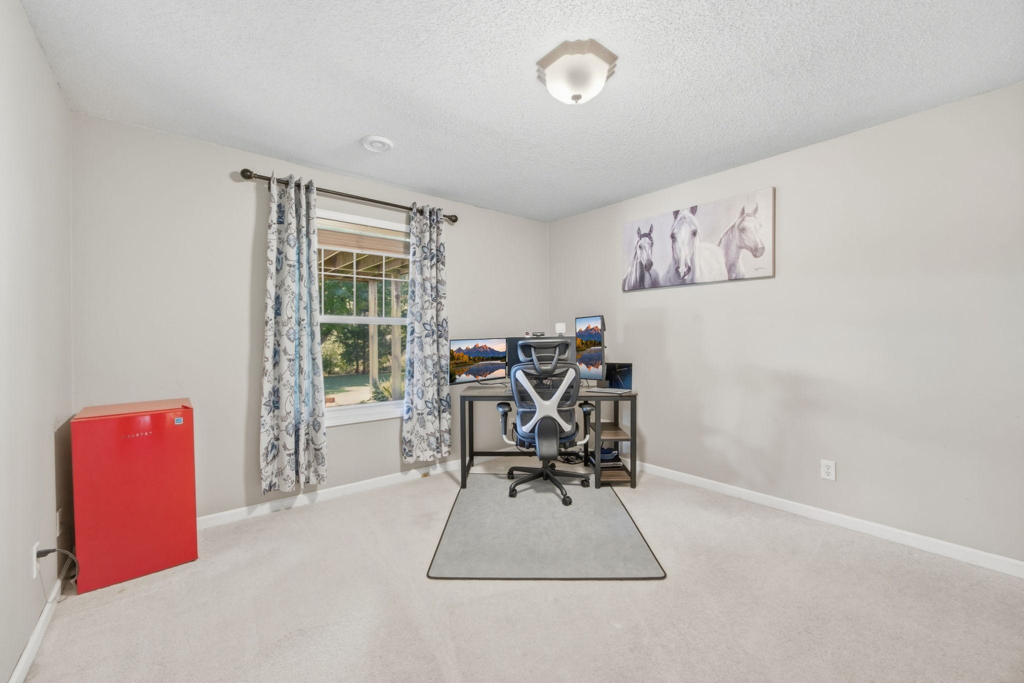 Lower-level 5th bedroom