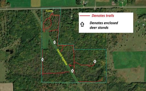 Stands and trails (2).jpg
