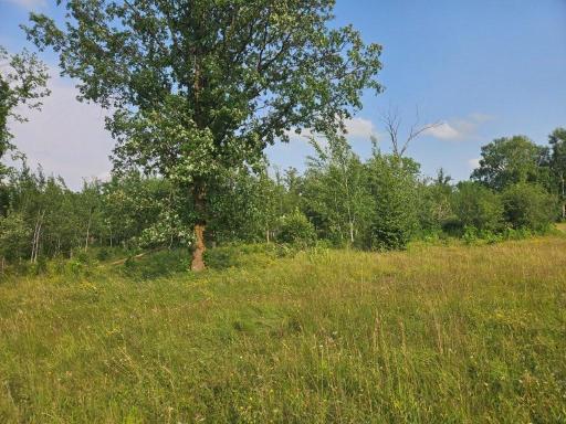 20260724_180033.jpg