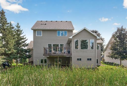 Private back yard with a grassy wetland area