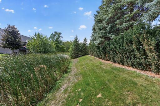 Private Backyard with a Grassy Wetland Area