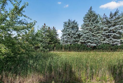 Private Backyard with a Grassy Wetland Area
