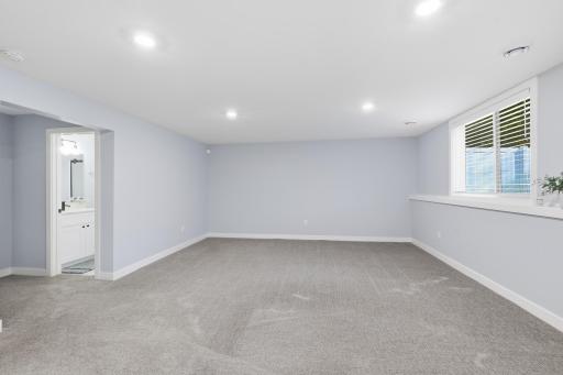 Enormous Lower Level Family Room