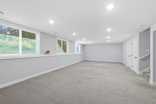 Lower Level Family Room