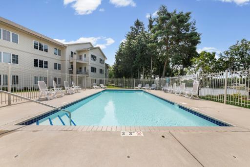 Pool loungers for all