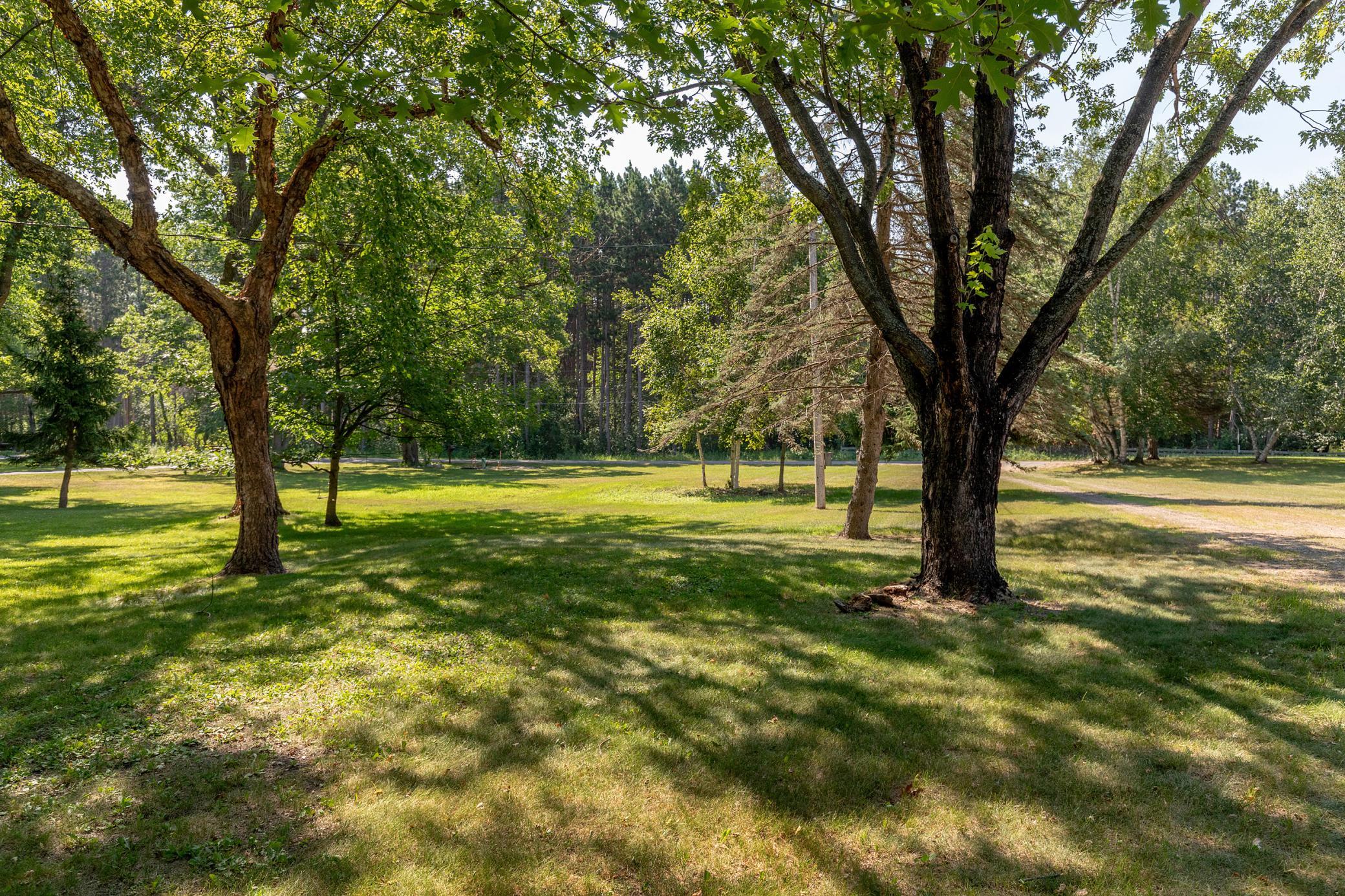 Large yard!