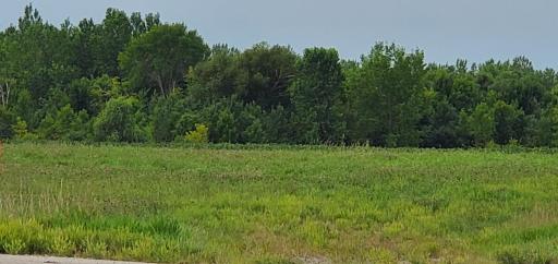 20260819_102337.jpg