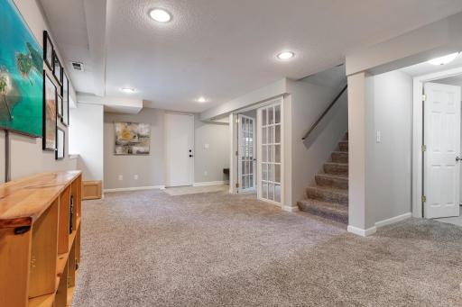 Lower level family room
