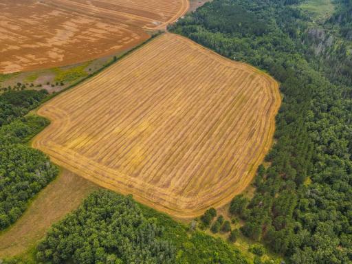 TBD 285th Street, Osage, MN 56570
