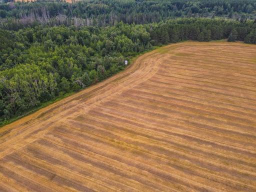 TBD 285th Street, Osage, MN 56570