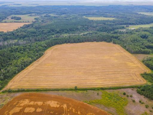 TBD 285th Street, Osage, MN 56570