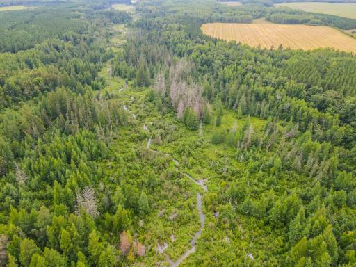 TBD 285th Street, Osage, MN 56570