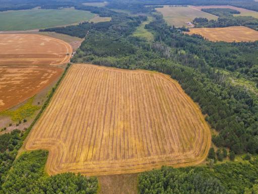 TBD 285th Street, Osage, MN 56570