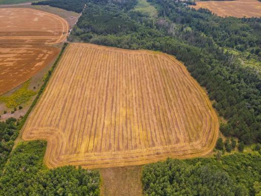 TBD 285th Street, Osage, MN 56570
