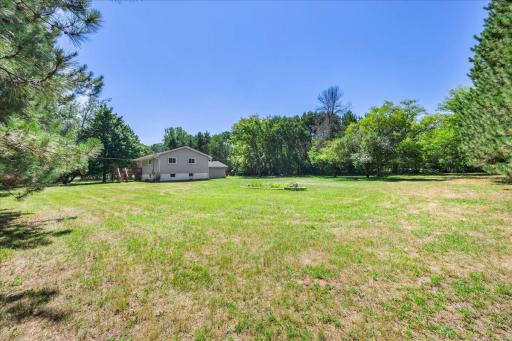 LOTS of yard space