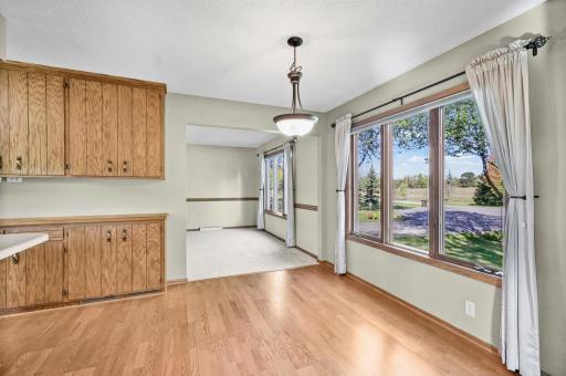 22465 Rush Creek Drive, Rogers, MN 55374