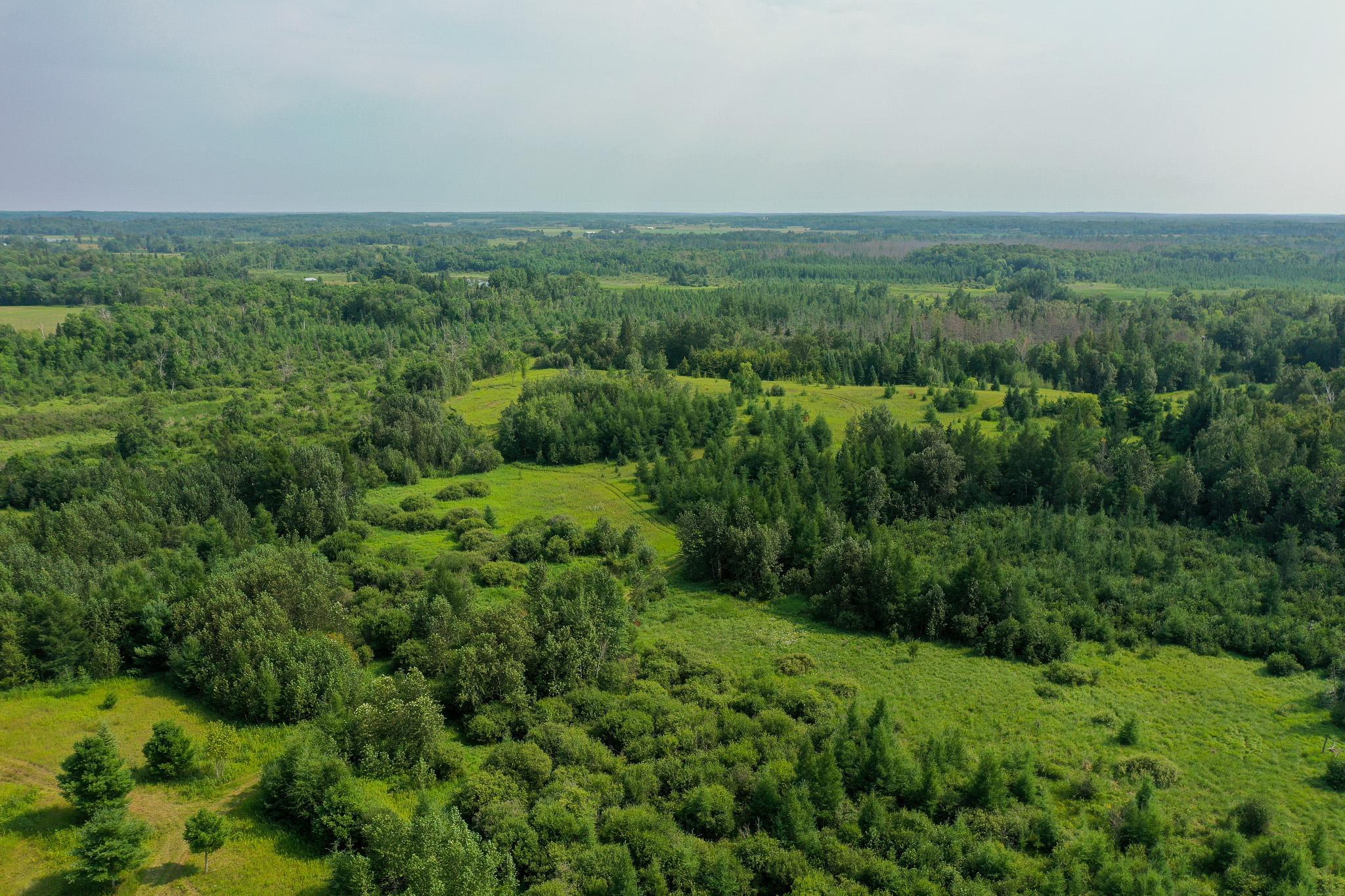 DJI_0996.jpg