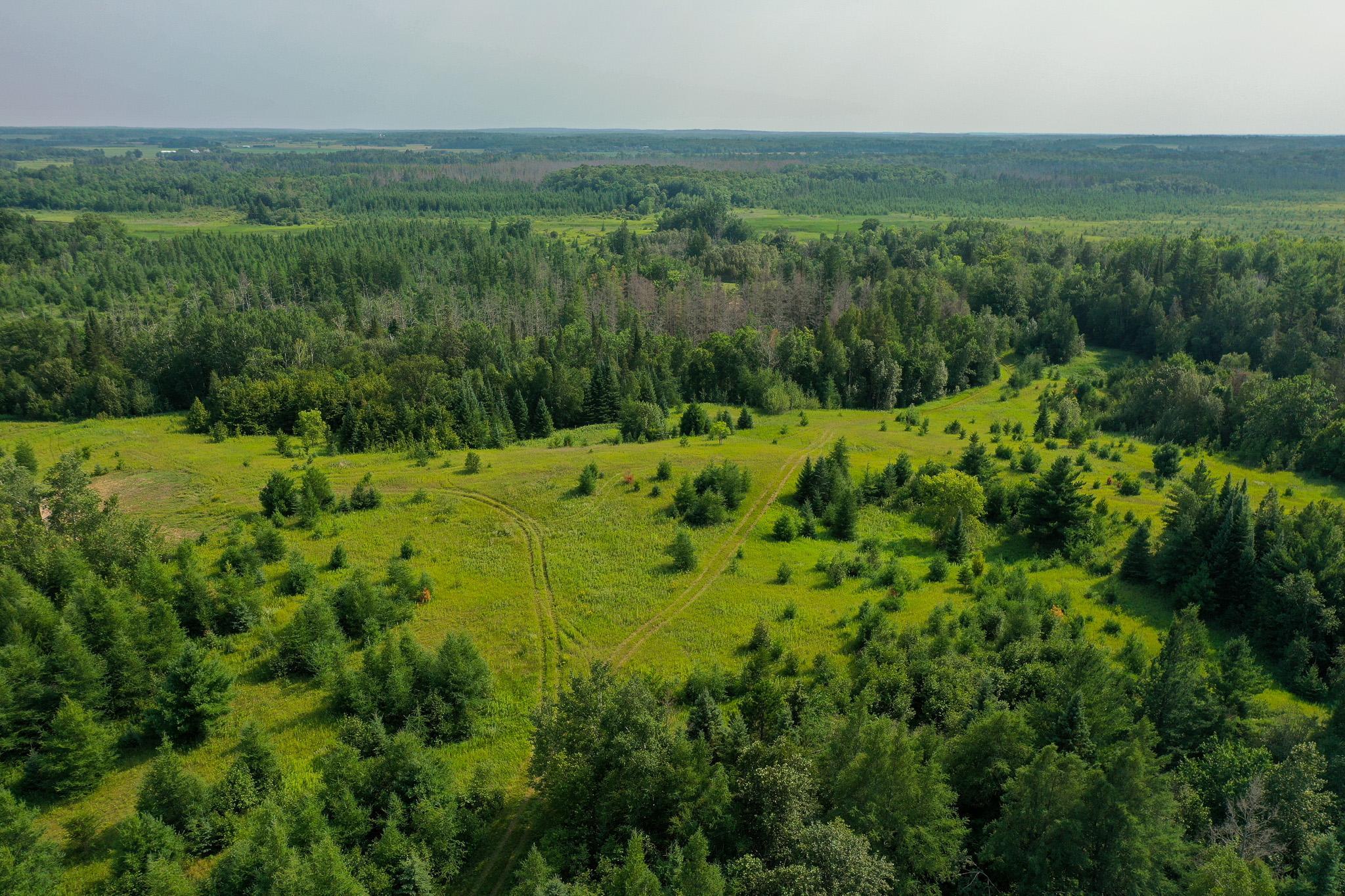 DJI_0001.jpg
