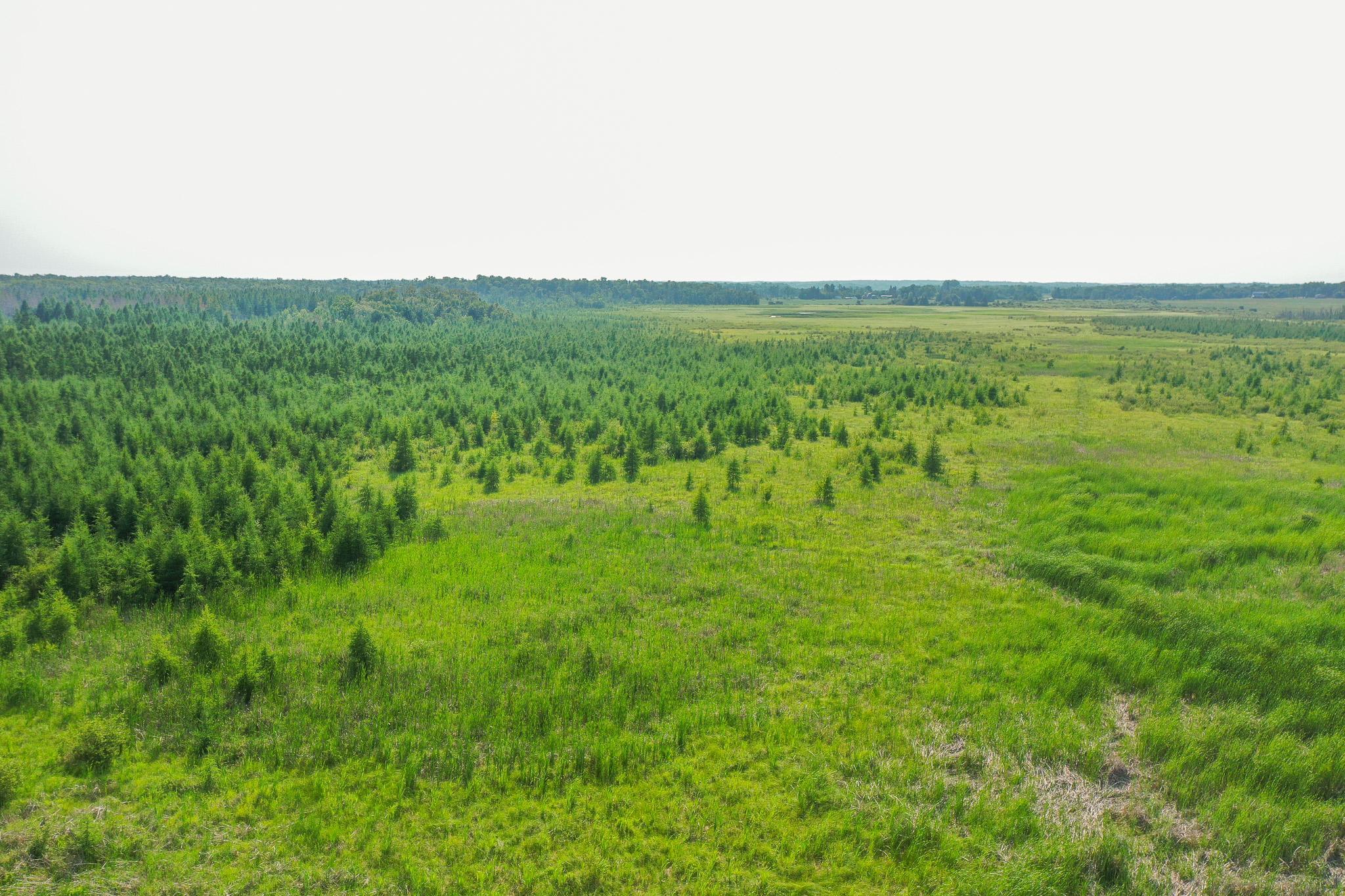 DJI_0035.jpg