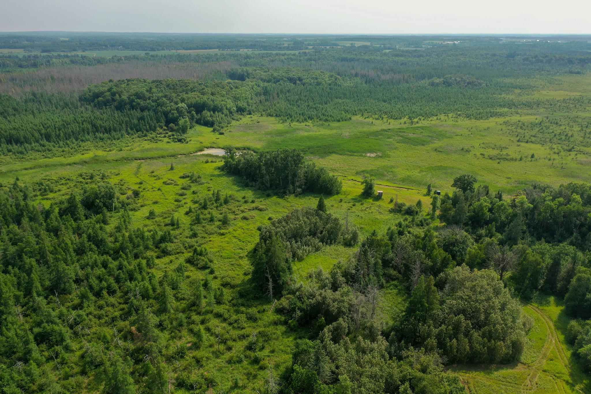 DJI_0994.jpg