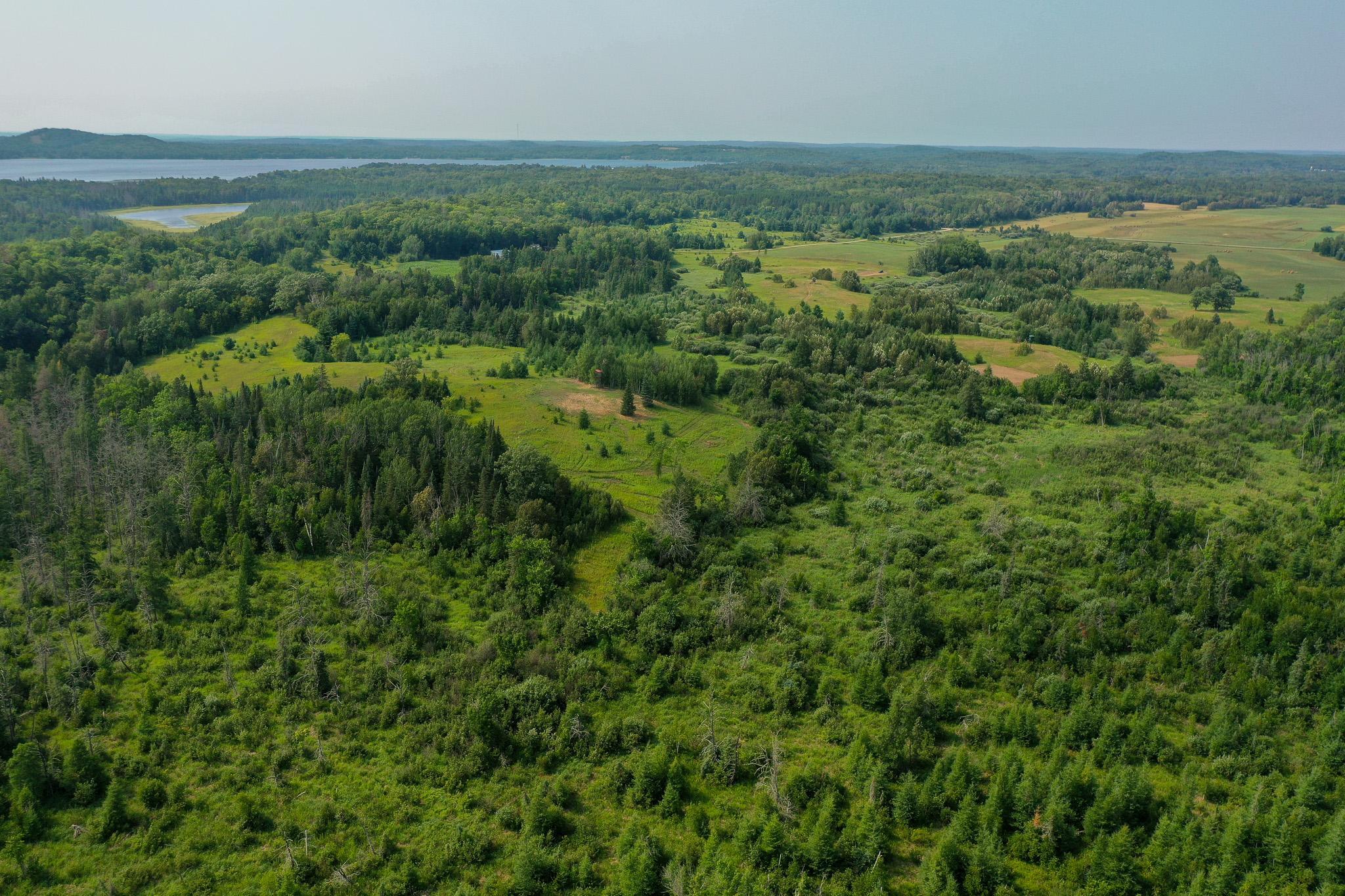 DJI_0992.jpg