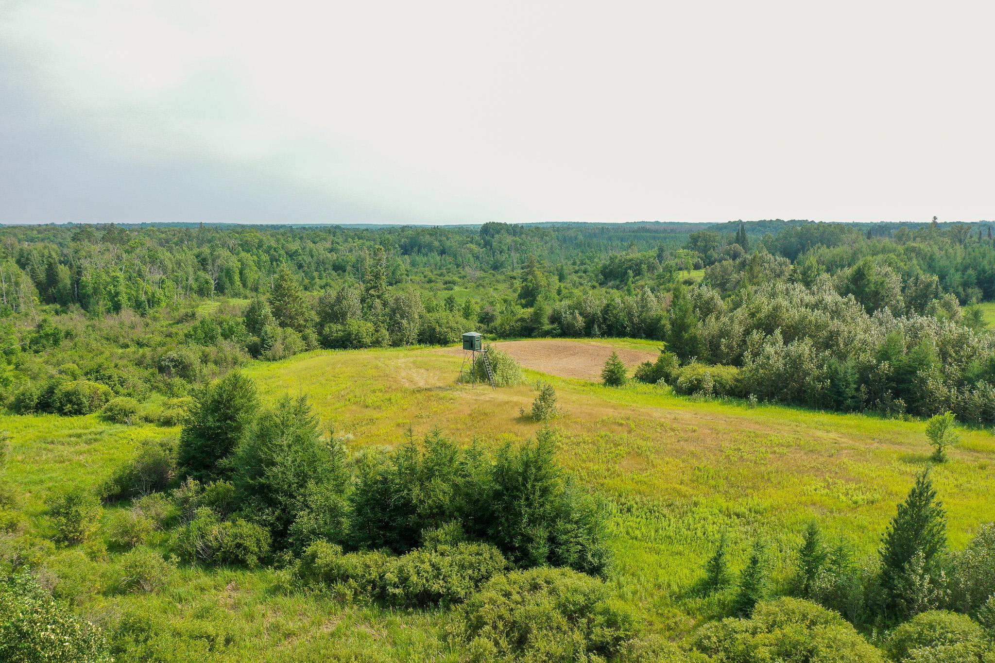 DJI_0982.jpg