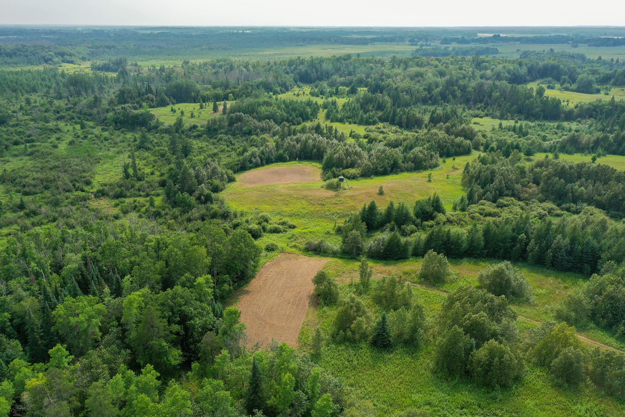 DJI_0985.jpg