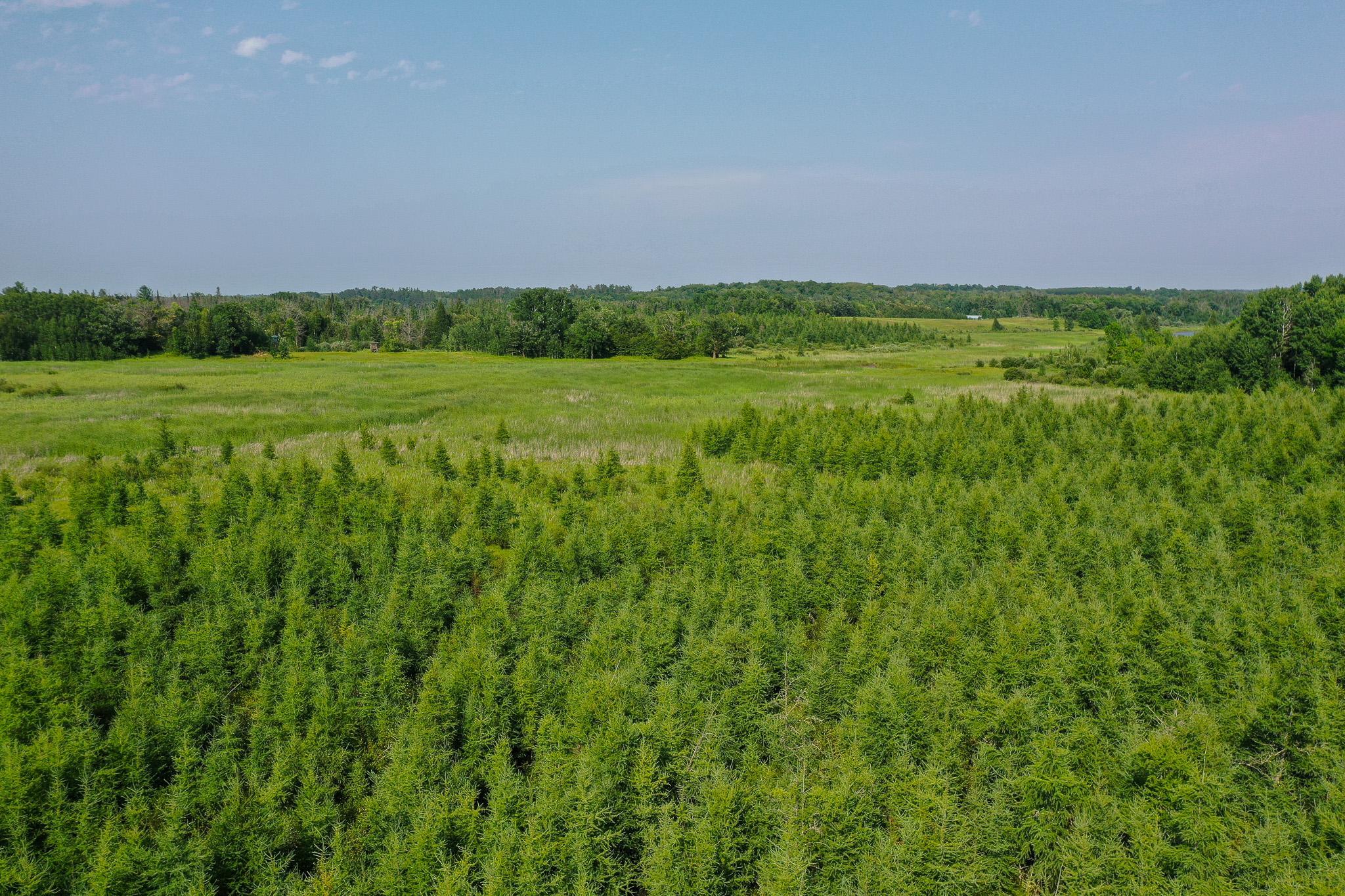DJI_0037.jpg