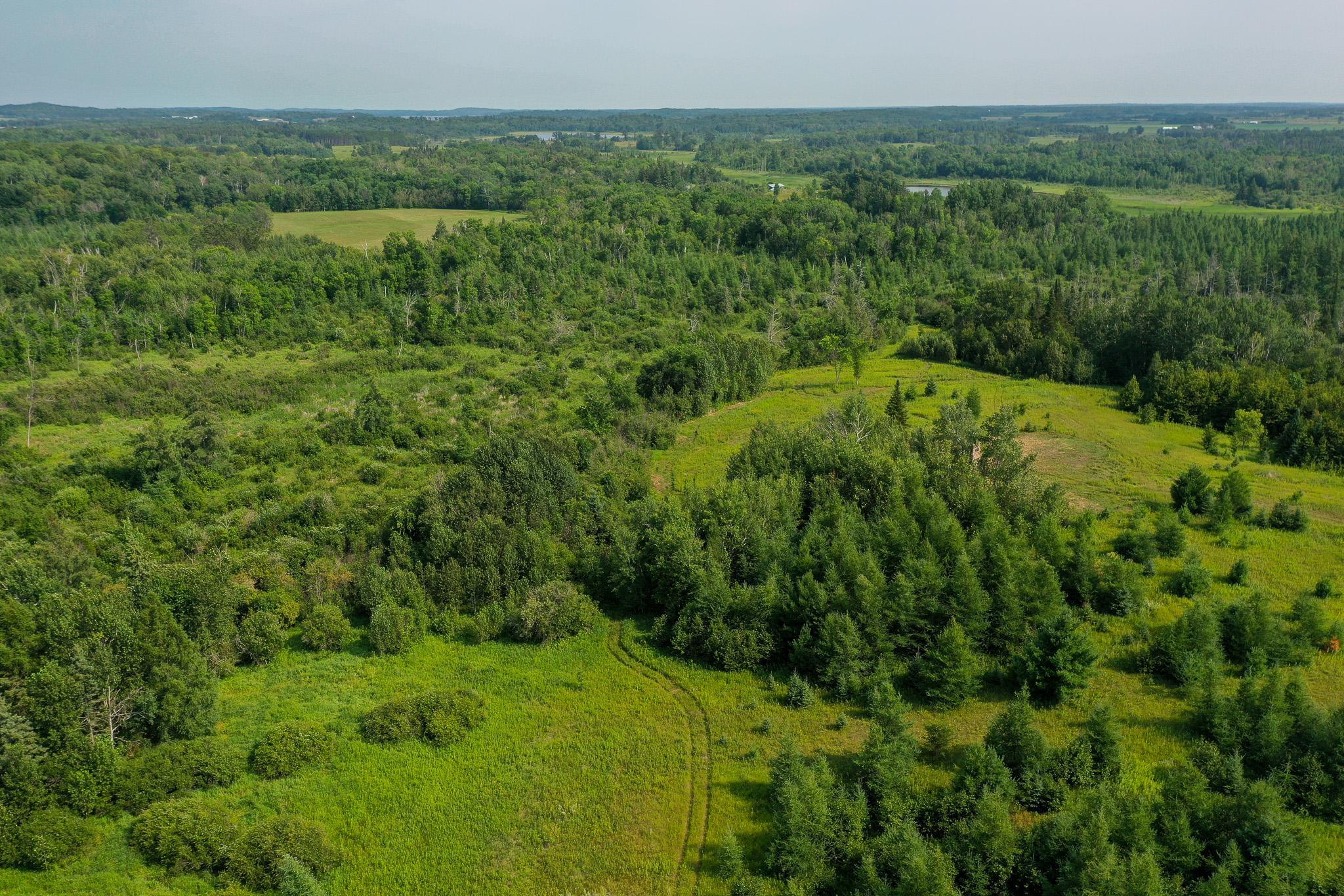 DJI_0002.jpg