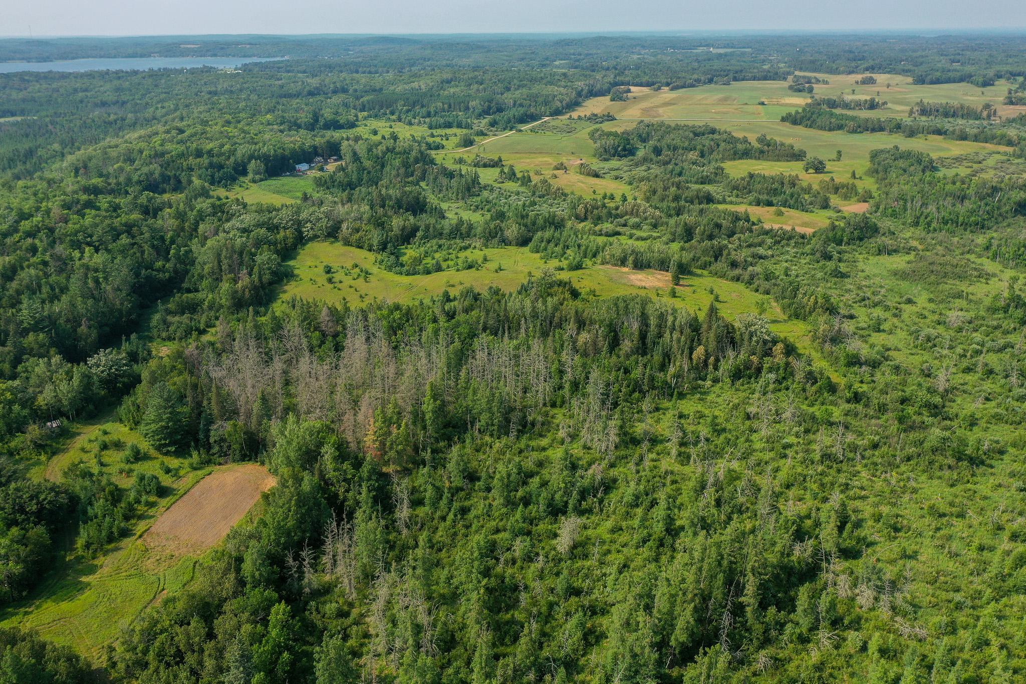 DJI_0021.jpg