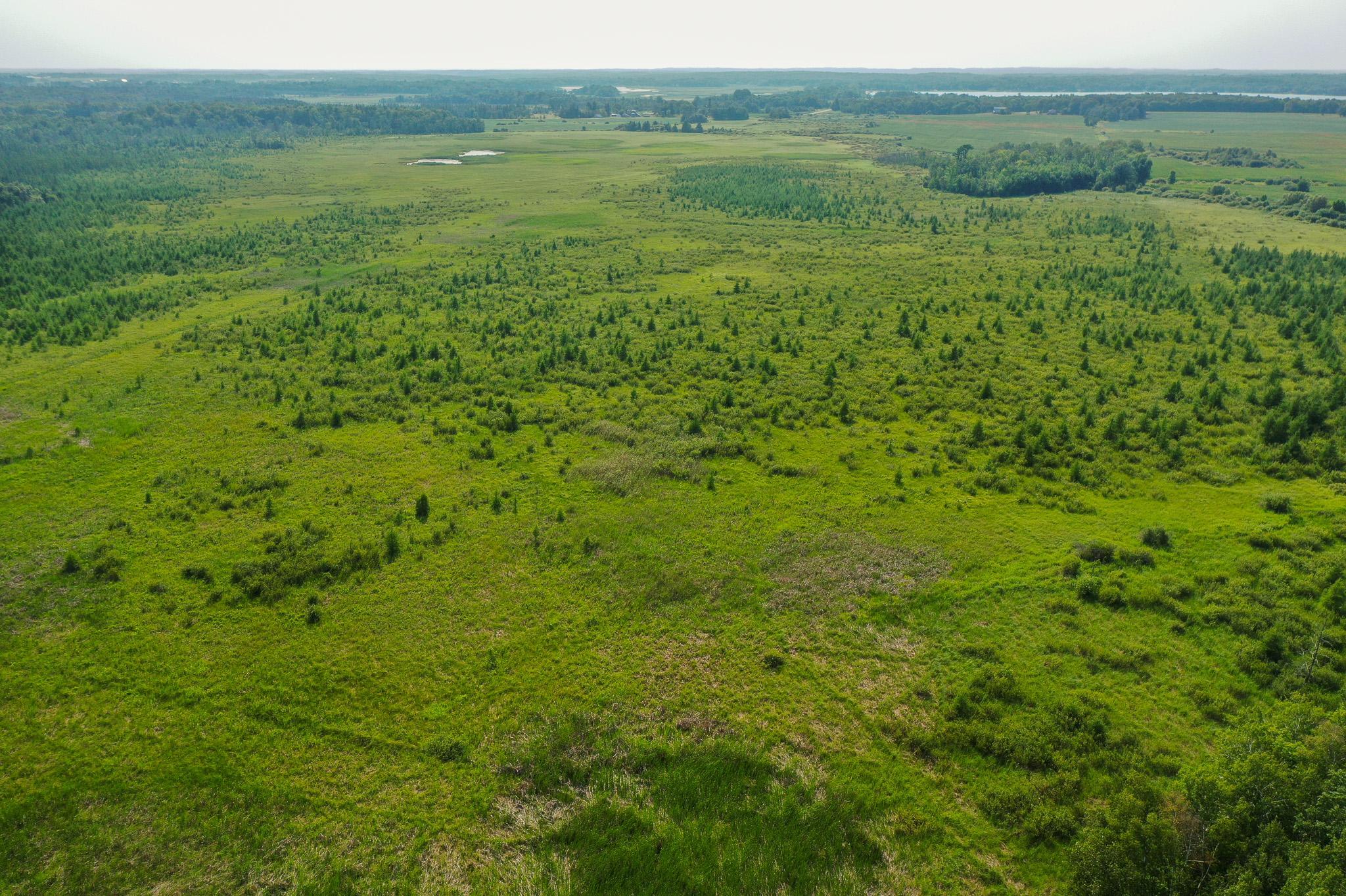 DJI_0013.jpg