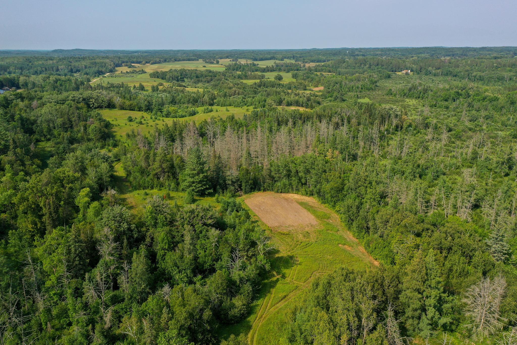 DJI_0011.jpg