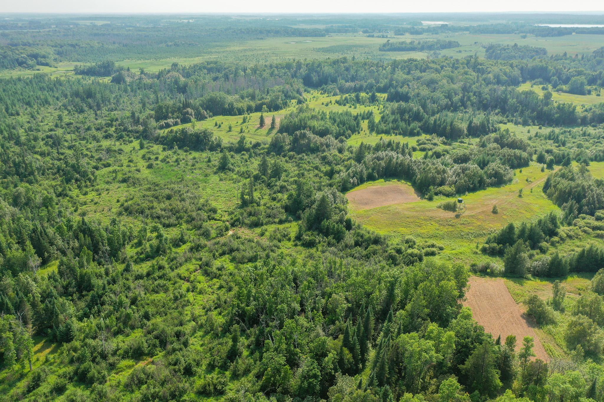 DJI_0050.jpg