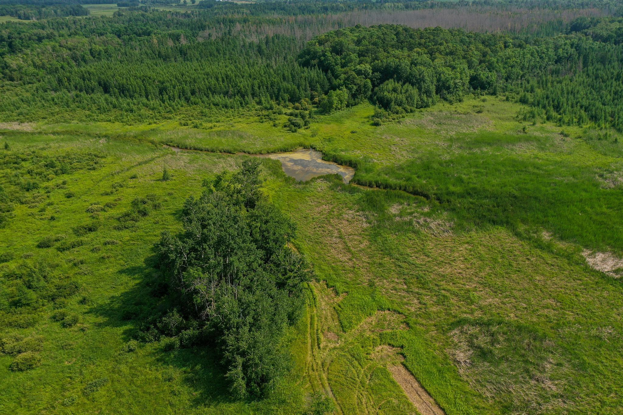DJI_0012.jpg