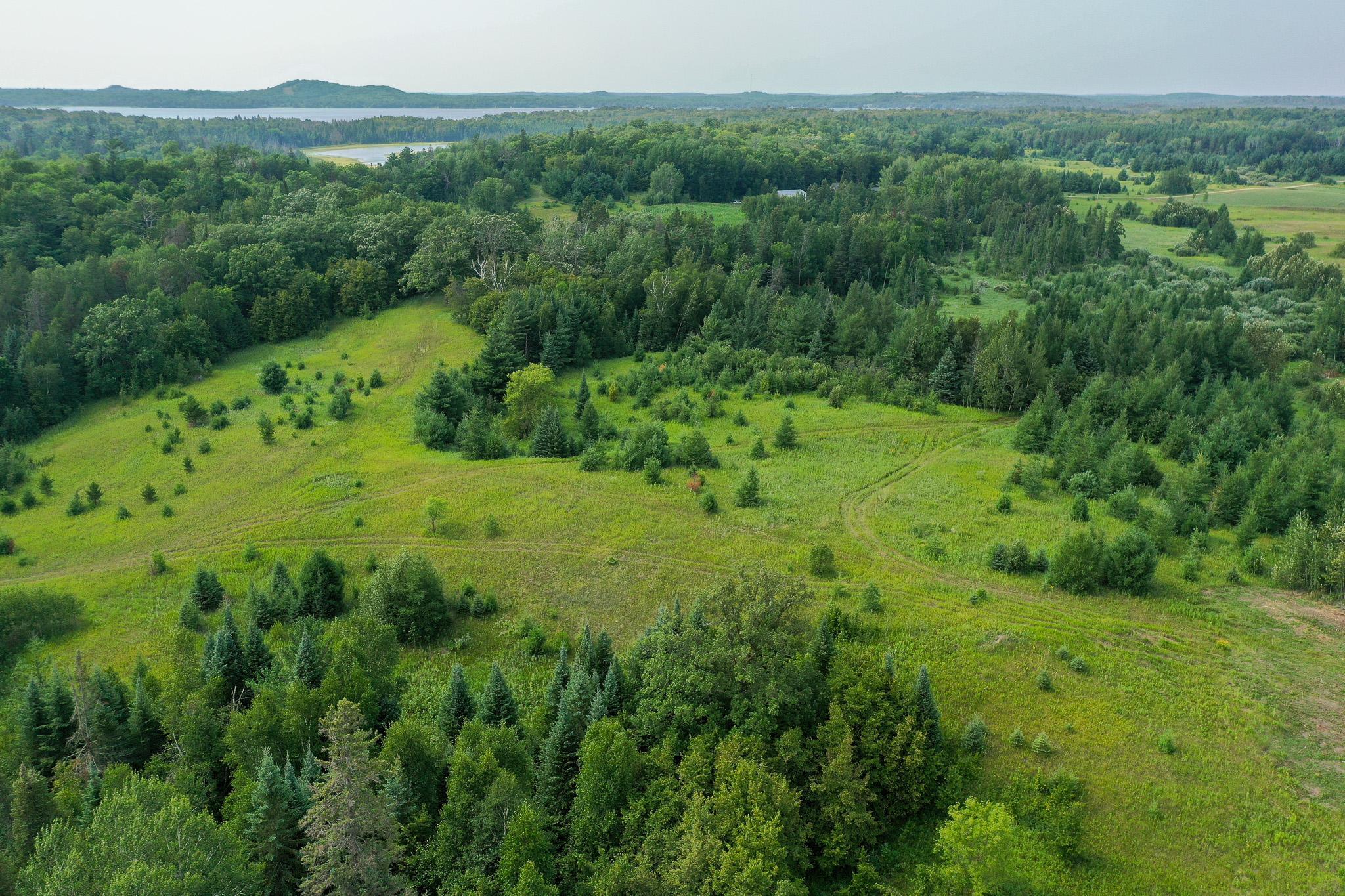 DJI_0988.jpg