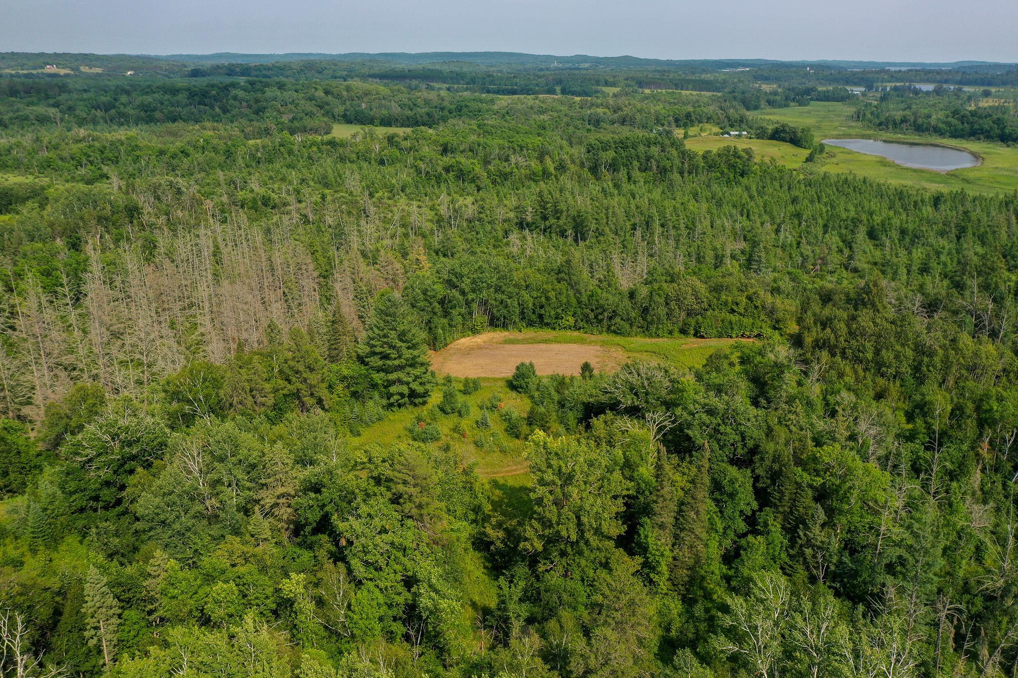 DJI_0009.jpg
