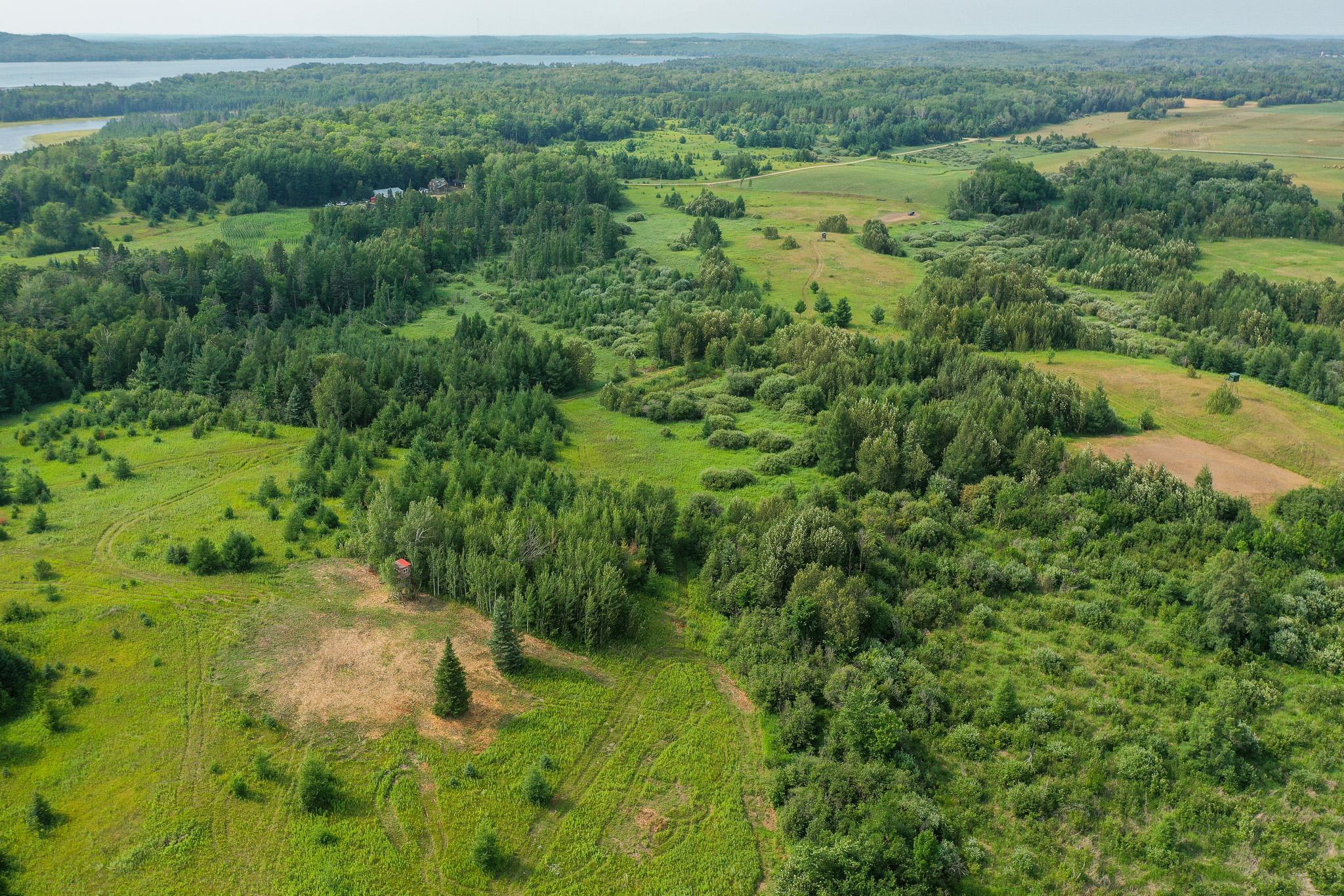 DJI_0990.jpg