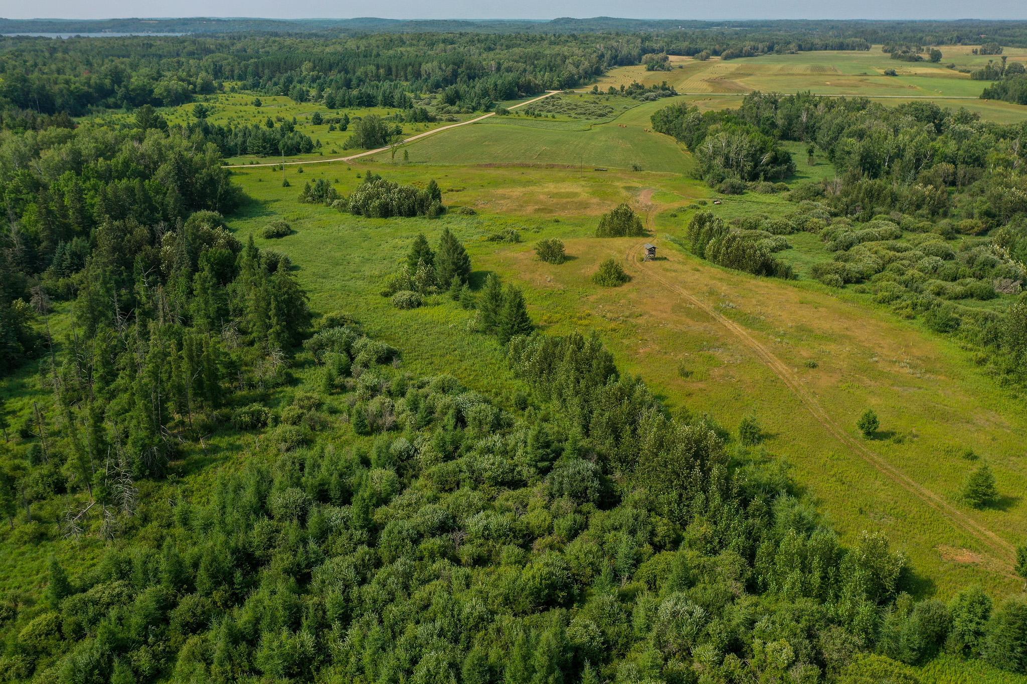 DJI_0006.jpg