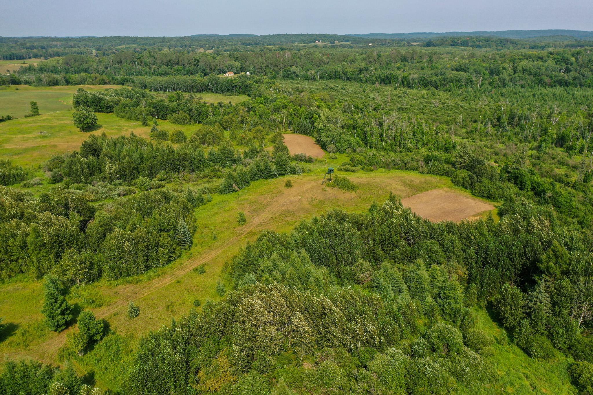 DJI_0004.jpg