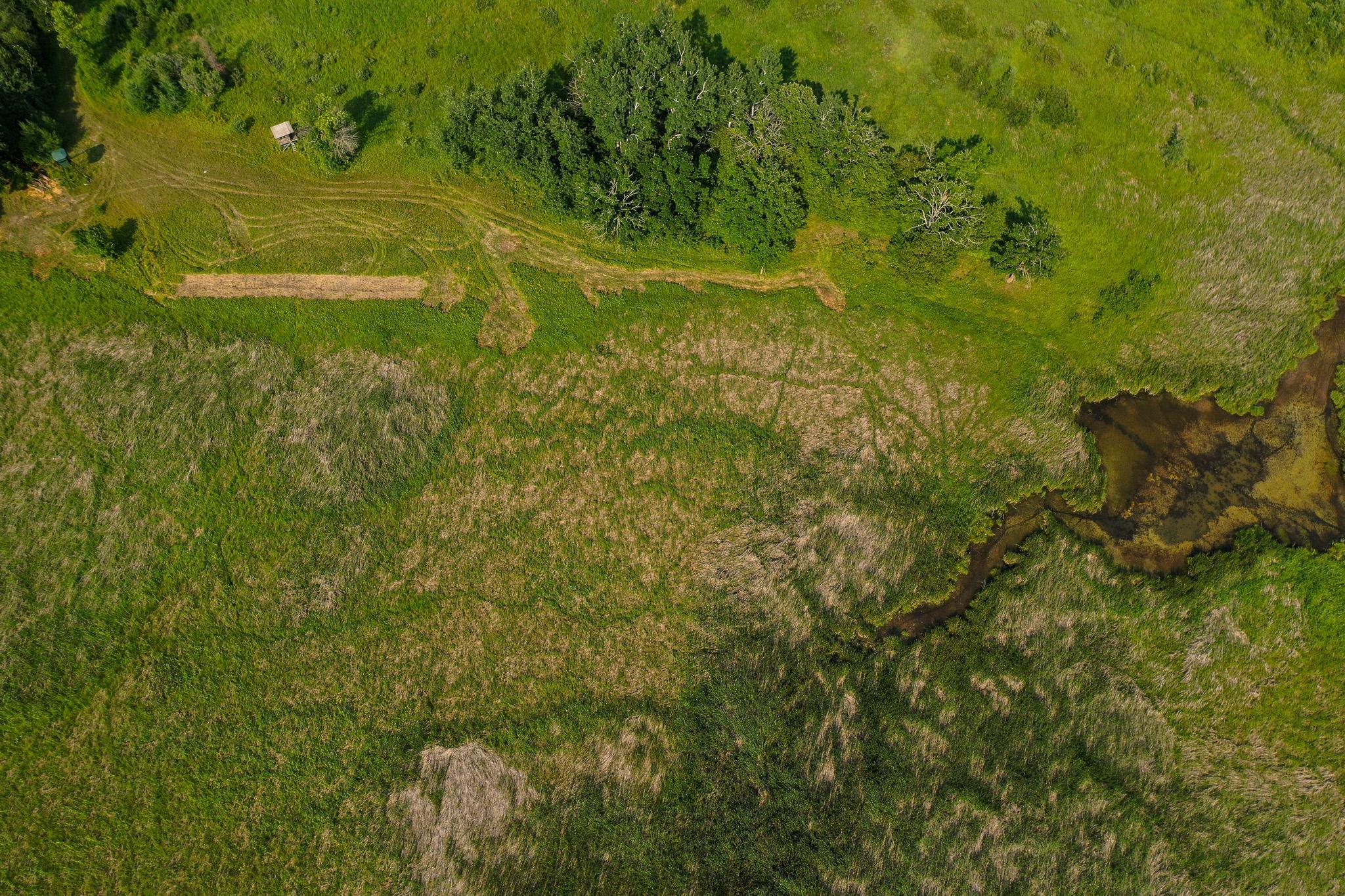 DJI_0019.jpg