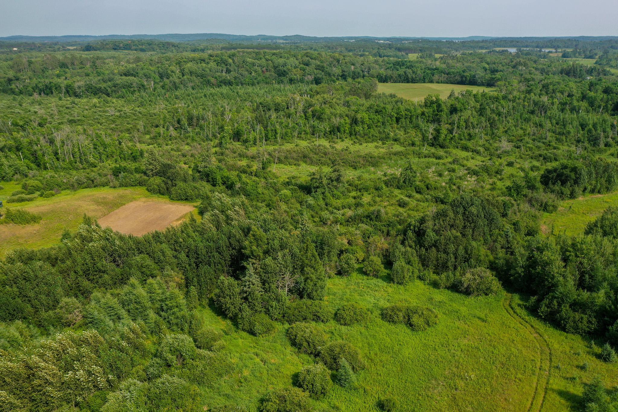 DJI_0003.jpg