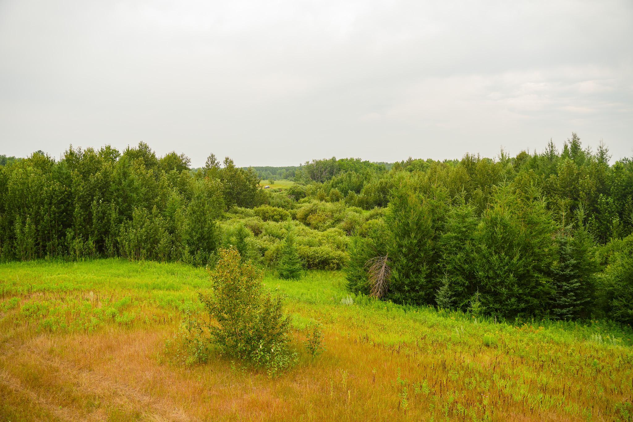 DSC03418.jpg