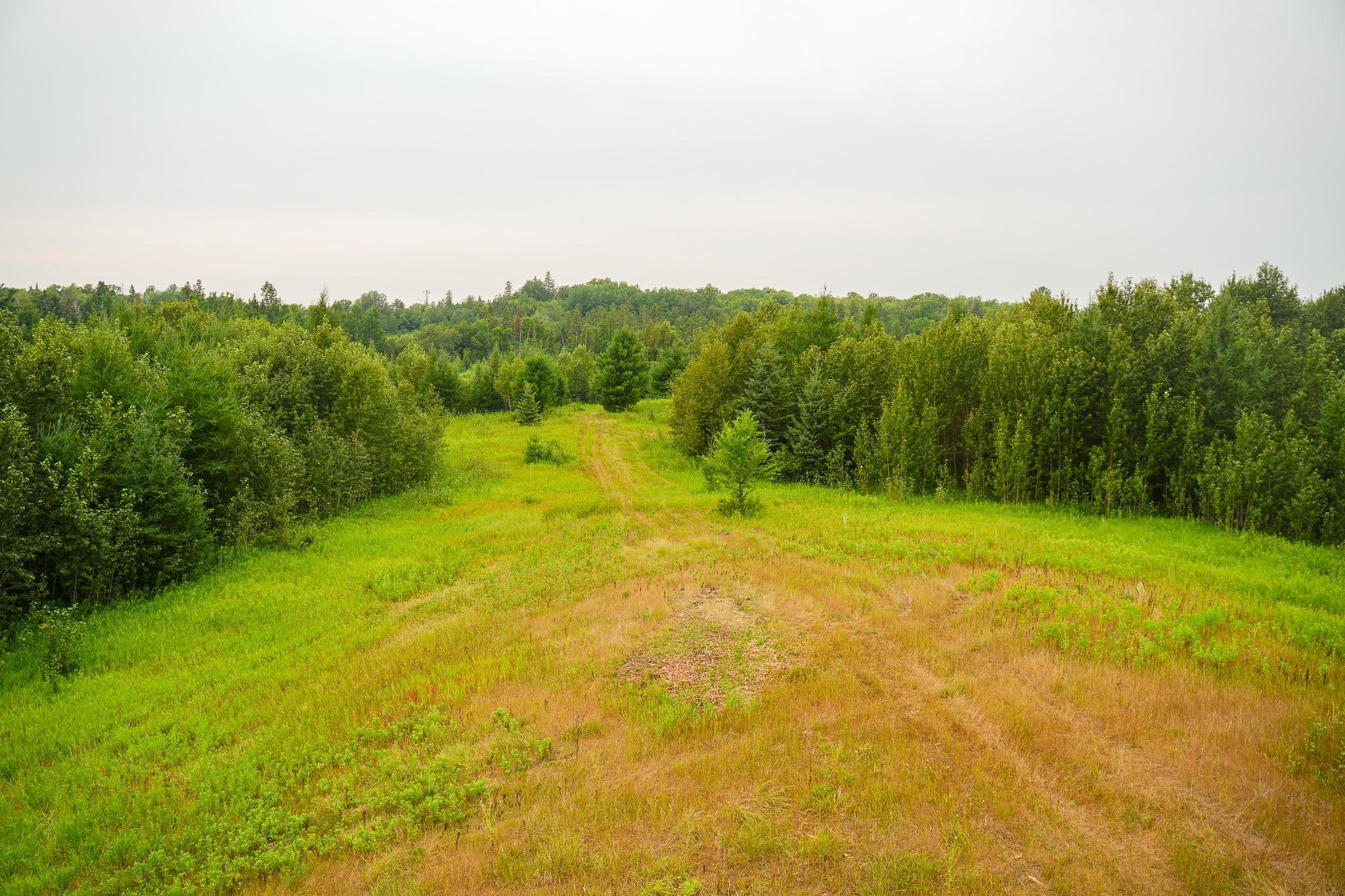 DSC03417.jpg