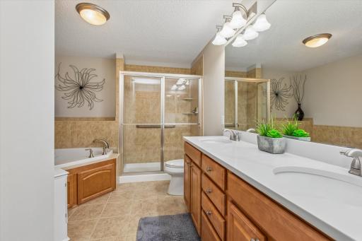 Jetted tub, step-in shower and a raised vanity with double sink quartz countertop. Linen closet in bathroom.