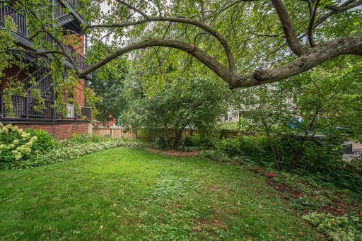 This charming garden has space for residents to enjoy quiet greenspace.