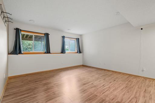 Basement living room